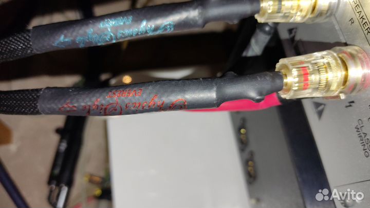 Physics style everest 2m, акустический,бананы