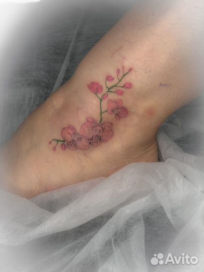 Начинающий тату мастер