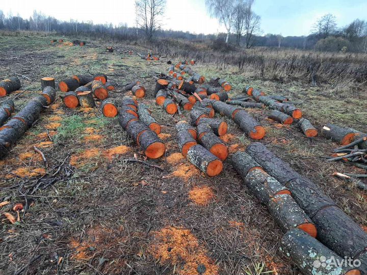 Продам дрова Ольха