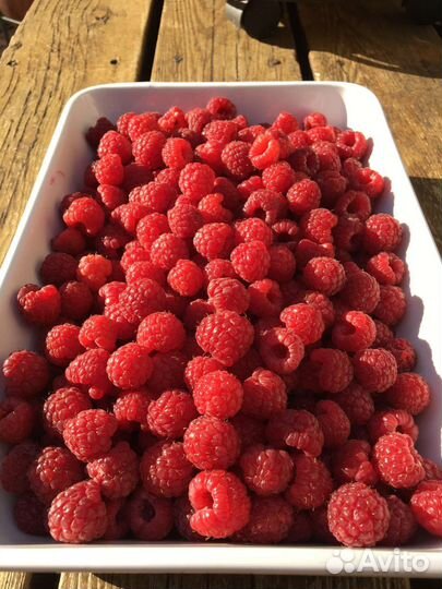 Малина ягоды свежая