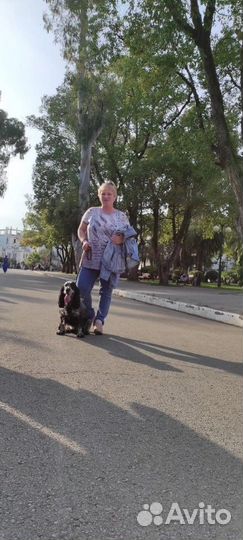 Любая работа, подработка