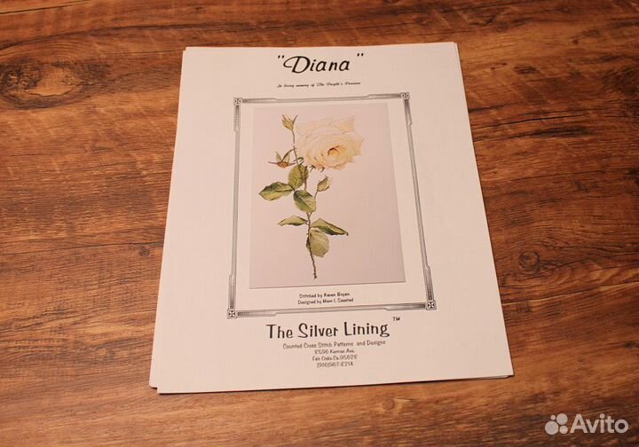 The Silver Lining - Diana