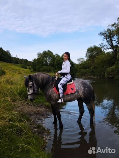 Катание на лошадях, занятия, фотосессии, выезды