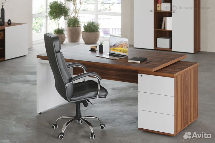 Кабинет руководителя Zion