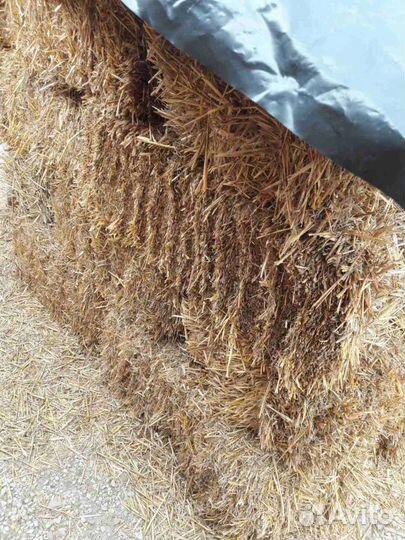 Солома, сено, рядом с вами