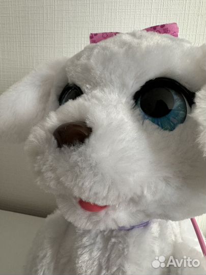 Интерактивная собака furreal на поводке