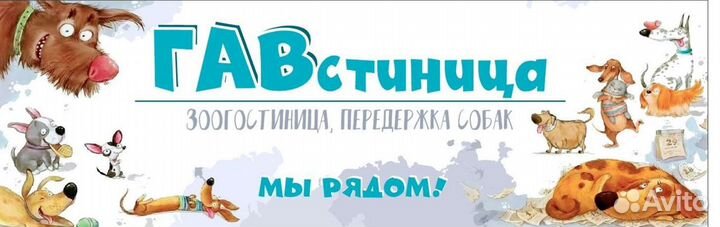 Зоогостиница для собак. Передержка
