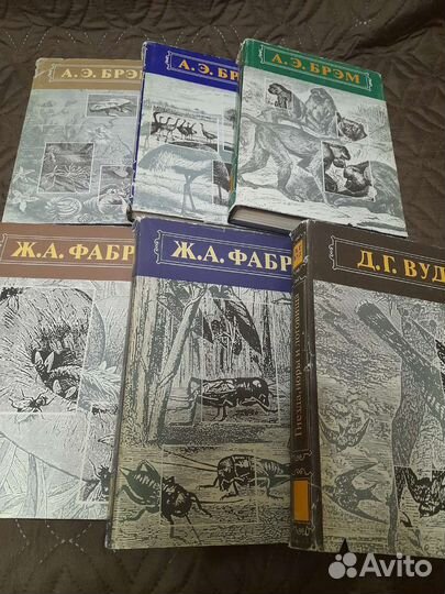 Жизнь животных в трёх томах (Брем) и детская литер