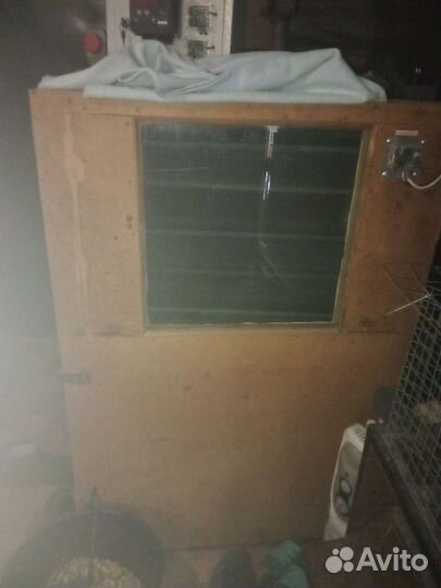 Инкубатор для яиц автоматический