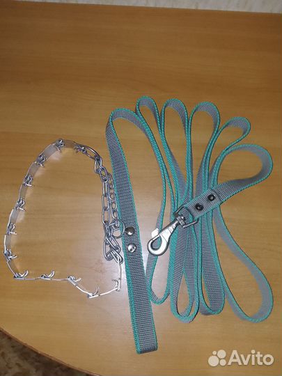 Новый строгий ошейник и поводок