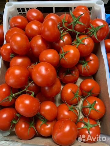 Овощи с доставкой