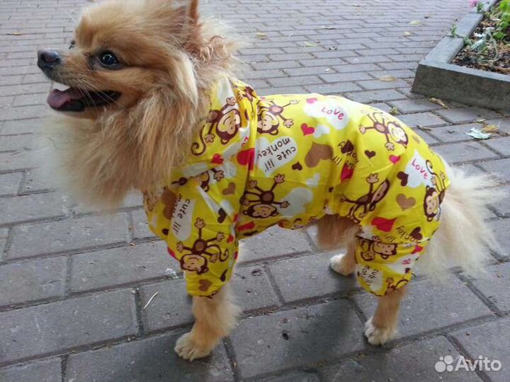 Дождевик для собак все размеры