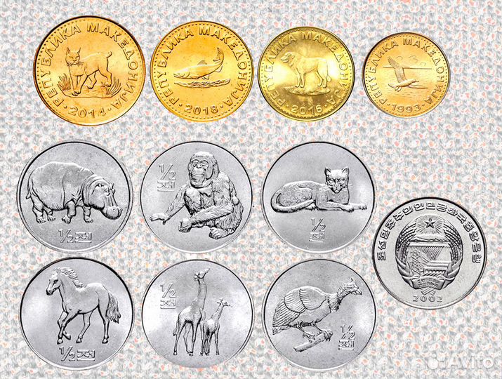 Животные - наборы разных стран