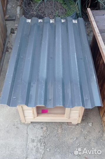 Собачья будка