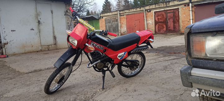 Зид пилот 50