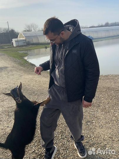 Деньги / Кредит под залог недвижимости без банков