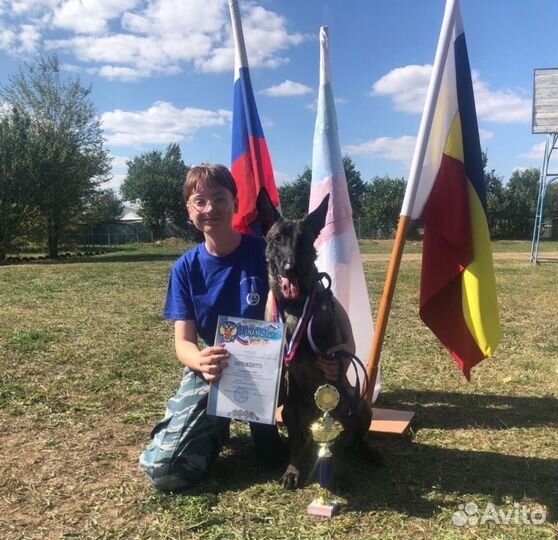 Кинолог. Дрессировка собак