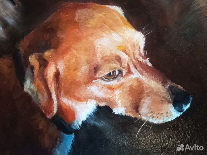 Картина маслом на заказ (анималистика)