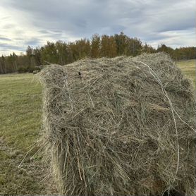 Сено