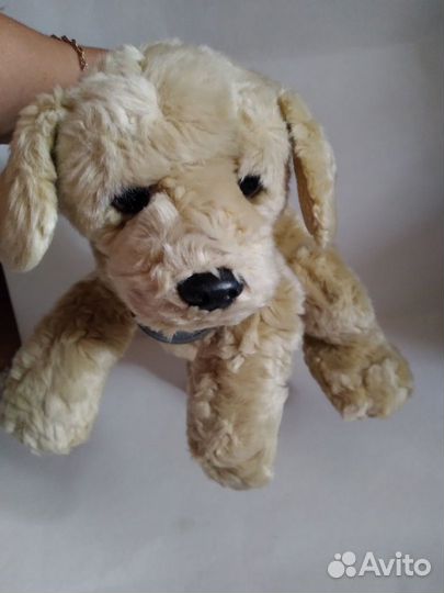 Щенки.собачки