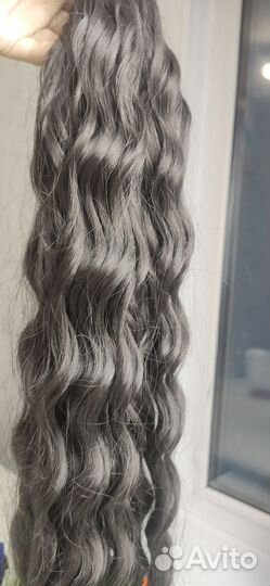 Афролоконы 55-60 см kudrussia