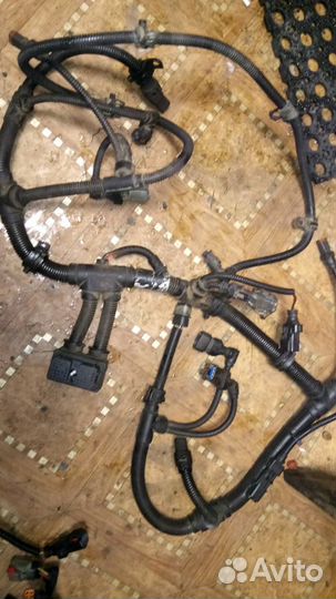 5268336(Cummins) Жгут проводов блока управления дв