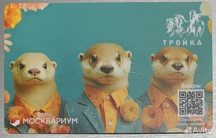 Лимитированная карта 