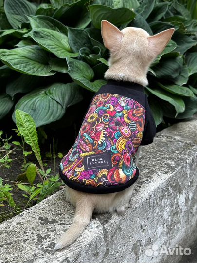 Футболка для собак