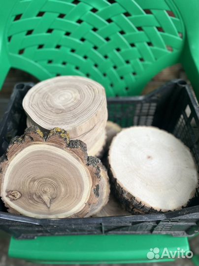 Торцевые спилы дерева