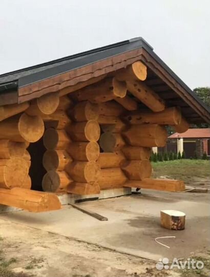 Сруб кедровой бани, канадская, дикая рубка