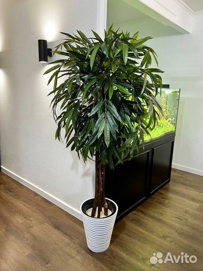 Искусственные растения / озеленение Казань