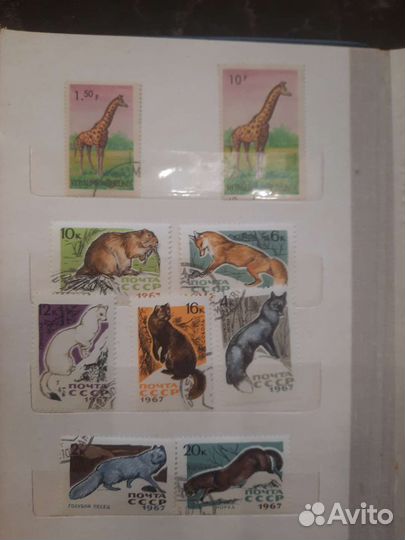 Коллеционная этикетка