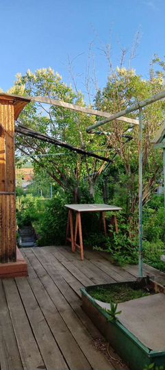 Участок 4,7 сот. (СНТ, ДНП)