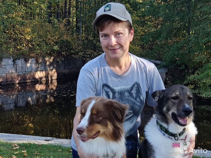 Кинолог, дрессировка собак, зоопсихолог