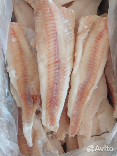 Морепродукты