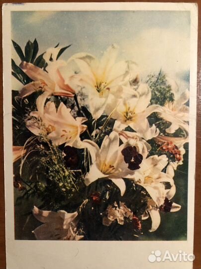 Открытки СССР