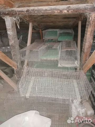Оборудование для перевозки цыплят утят