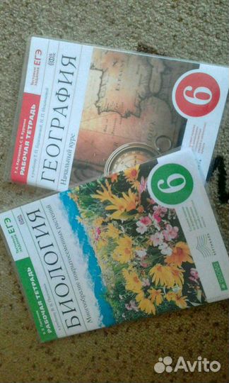 Рабрчие тетради, 6 класс