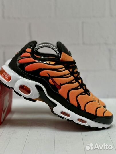 Nike air max tn plus