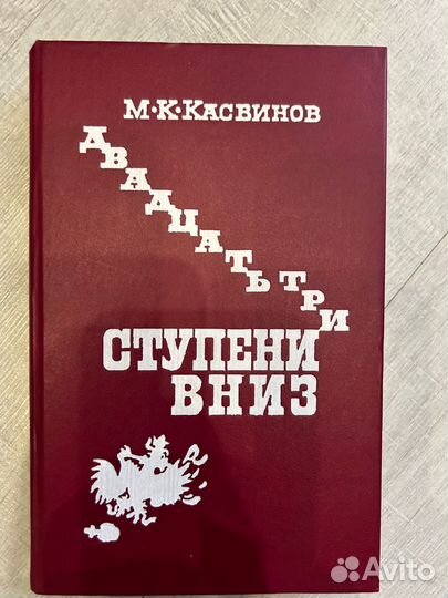 Двадцать три ступени вниз. Камаинов М.К