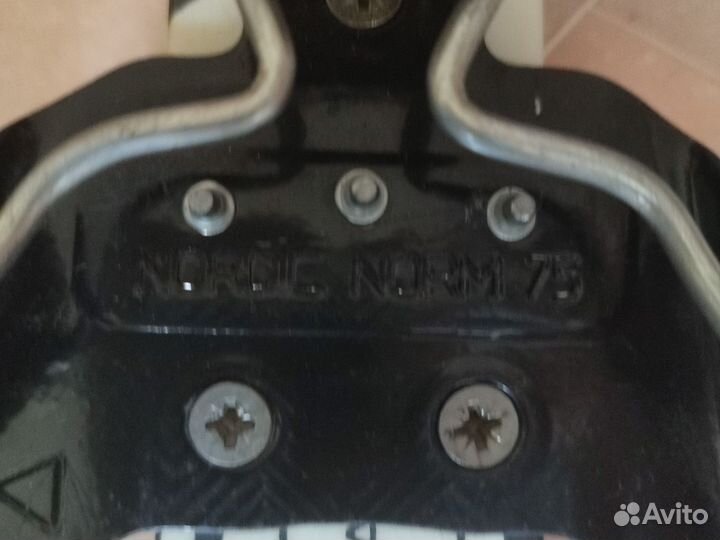 Лыжи беговые пластик детские 170