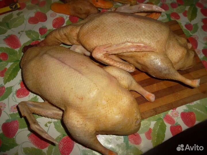 Мясо утки, кур