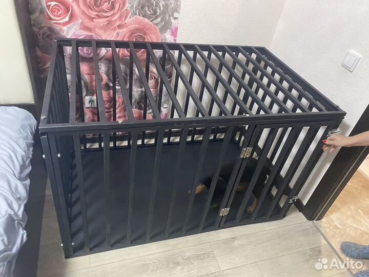 Клетка для собаки