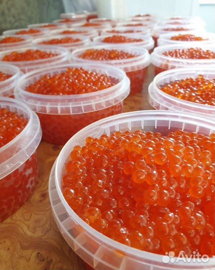 Икра кеты икра горбуши