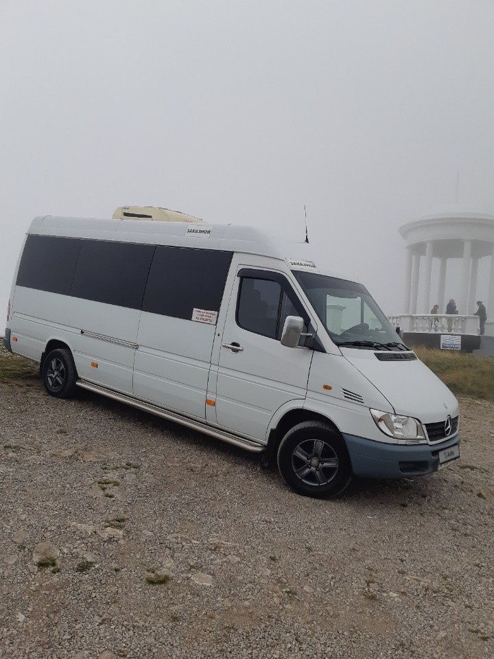 Mercedes-Benz Sprinter: фото владельца
