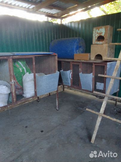 Кролятники