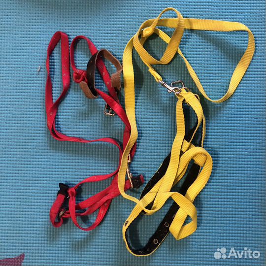 Поводок для маленьких собак