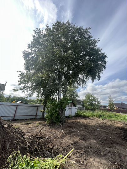 Участок 4 сот. (СНТ, ДНП)