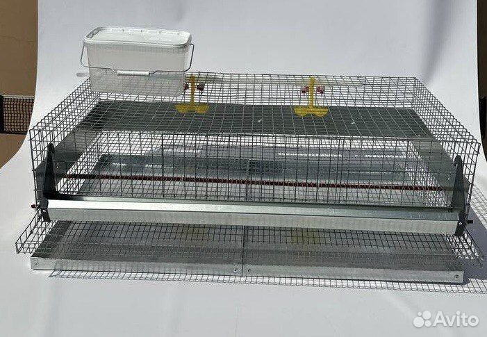 Клетка для перепелов на 50 голов
