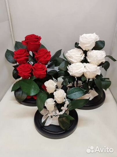 Розы оптом
